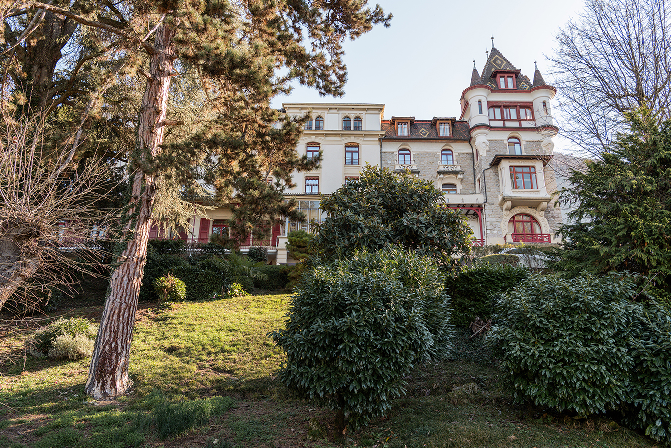 The château lawns