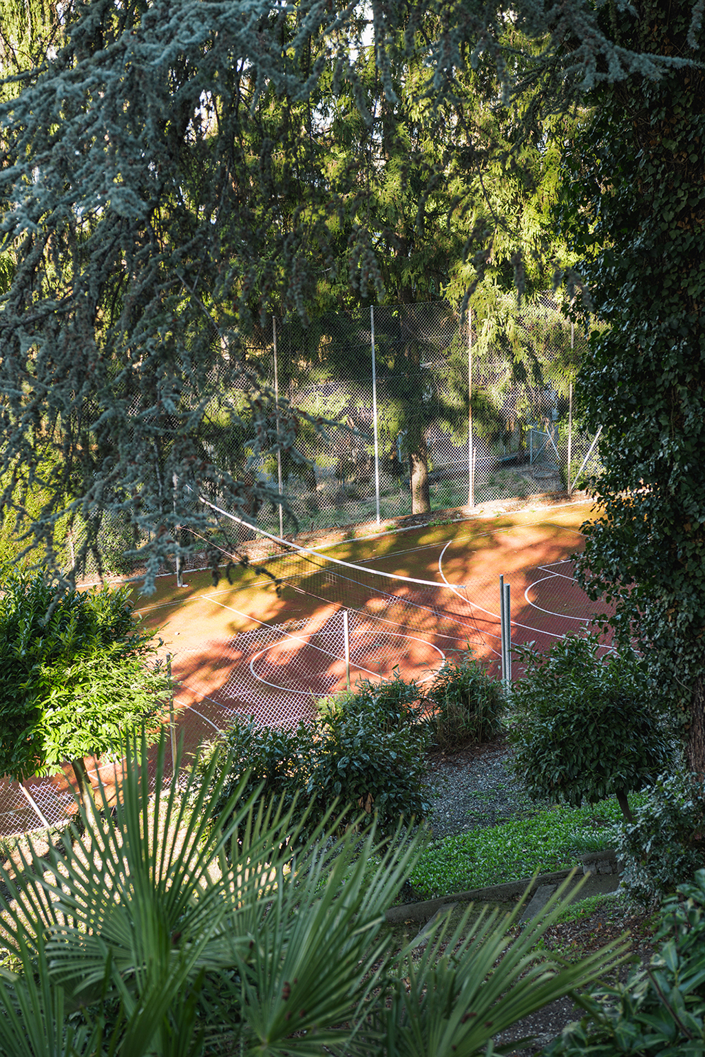 The sports court under the cedars